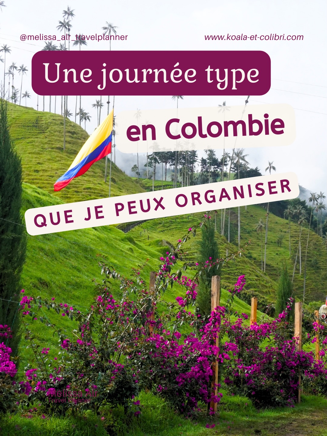 🇨🇴 Une journée type à Salento, en Colombie…

Du matin au coucher du soleil, entre nature, cafés et villages colorés, chaque moment est une découverte. 🌄☕🌿🐟

J’ai créé cette journée type pour te faire vivre Salento pleinement, avec des pauses gourmandes, des paysages emblématiques et des rues à explorer.

Swipe pour découvrir comment une seule journée peut combiner culture, nature et gastronomie 😍