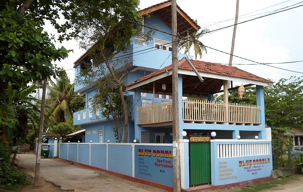 Blue Coral Guesthouse Polhena