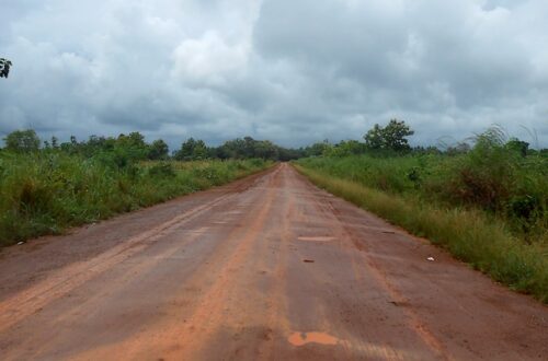 Togo 3 semaines de découverte