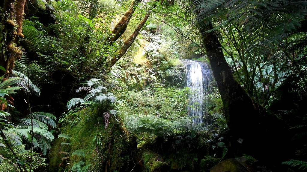 Koropuku Falls