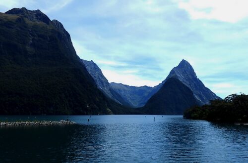 Fiordland