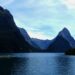 Fiordland