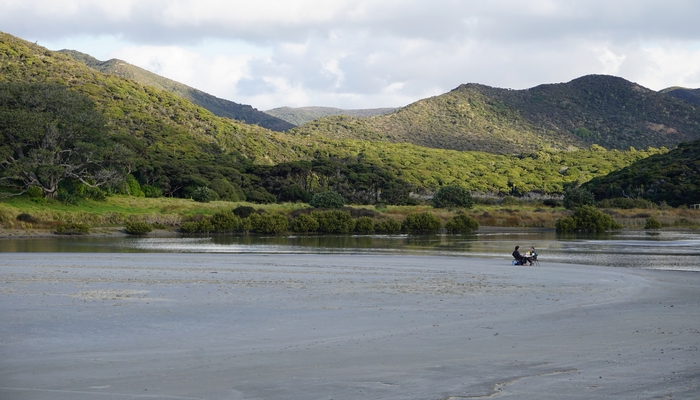 Le Northland de la Nouvelle-Zélande