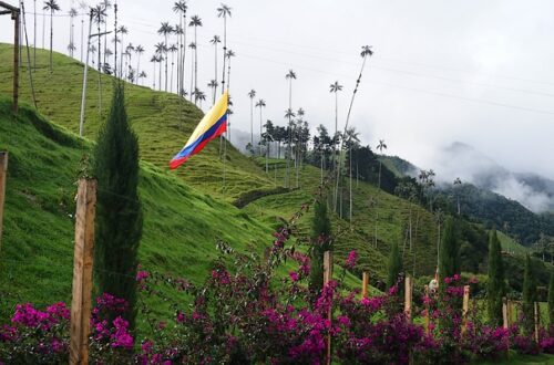 Comment préparer son PVT en Colombie