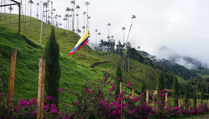 Comment préparer son PVT en Colombie