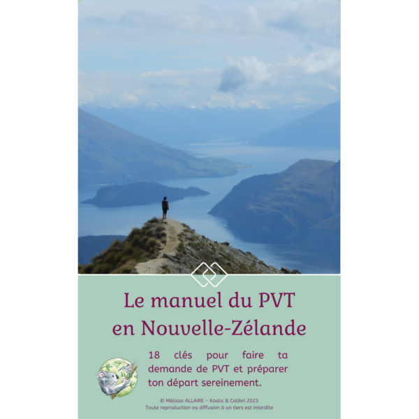 boutique en ligne article ebook