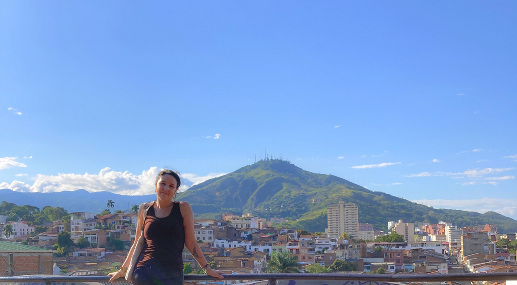 Mélissa - cali - ville - montagne - PVT - palmiers