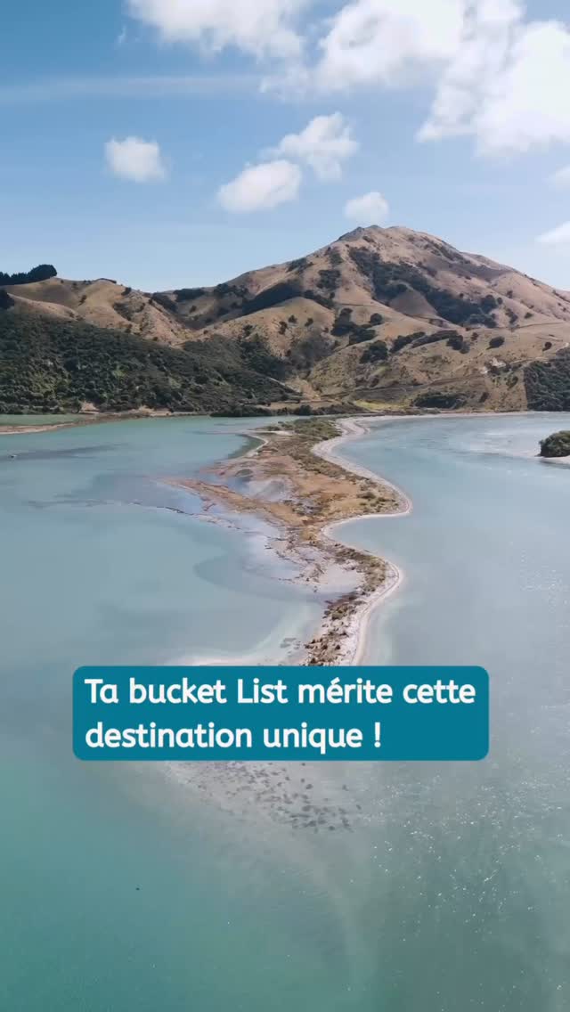 Ta bucket list mérite cette destination unique : la Nouvelle-Zélande 🇳🇿

Pourquoi elle coche toutes les cases ? 👇

✨ Des paysages irréels

Glaciers, fjords, volcans, plages sauvages, montagnes… tout ça dans un seul pays. Tu passes d’un décor de film à un autre en quelques heures.

🌍 Une vraie aventure accessible

Road trips faciles, nature ultra préservée, randos mythiques, vanlife légendaire. Pas besoin d’être une baroudeuse pro pour vivre une expérience hors norme.

🧘‍♀️ Un lifestyle qui fait respirer

Ici, on ralentit. On vit dehors. On remet les priorités au bon endroit. Beaucoup repartent… différentes.

💙 Un pays qui marque à vie

La Nouvelle-Zélande, ce n’est pas juste un voyage. C’est un tournant.

👉 Sauvegarde ce réel pour ajouter cette destination à ta bucket list